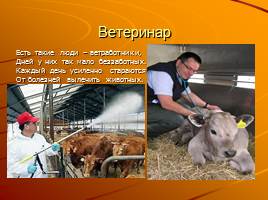 Сельскохозяйственные специальности - Все професии нужны, все профессии важны, слайд 18