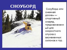Зимние виды спорта, слайд 11