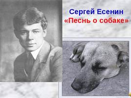С. Есенин "Песнь о собаке", слайд 1