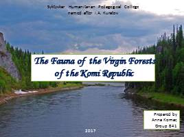 Презентация The Fauna of  the Virgin Forests of the Komi Republic