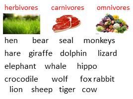 About wild animals, слайд 10