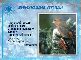 Зимующие птицы, слайд 10
