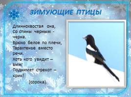 Зимующие птицы, слайд 4