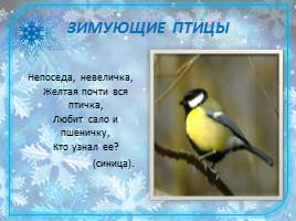 Зимующие птицы, слайд 5