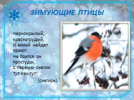 Зимующие птицы, слайд 7