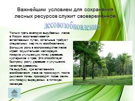 Охрана лесов, слайд 9