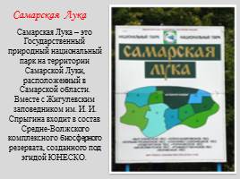 Национальный парк "Самарская Лука", слайд 2