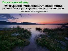 Национальный парк "Самарская Лука", слайд 6