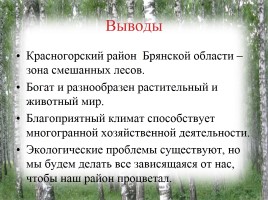 Исследование природных зон Красногорского района Брянской области, слайд 10