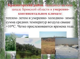 Исследование природных зон Красногорского района Брянской области, слайд 3