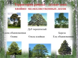 Исследование природных зон Красногорского района Брянской области, слайд 4