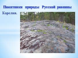 Презентация Памятники природы Русской равнины