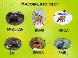 Дикие животные 1 класс, слайд 2