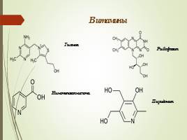 Биохимический состав и биохимические процессы, происходящие при переработке и хранении в кофе, слайд 10