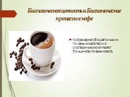 Биохимический состав и биохимические процессы, происходящие при переработке и хранении в кофе, слайд 11