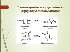 Биохимический состав и биохимические процессы, происходящие при переработке и хранении в кофе, слайд 19