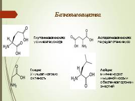 Биохимический состав и биохимические процессы, происходящие при переработке и хранении в кофе, слайд 6