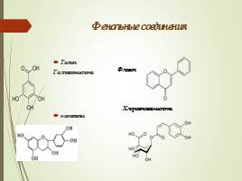 Биохимический состав и биохимические процессы, происходящие при переработке и хранении в кофе, слайд 9