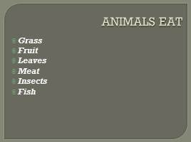 Ah, these funny animals!, слайд 10