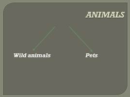 Ah, these funny animals!, слайд 5