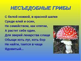 Мир грибов, слайд 20