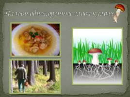 Мир грибов, слайд 28