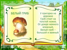 Мир грибов, слайд 4