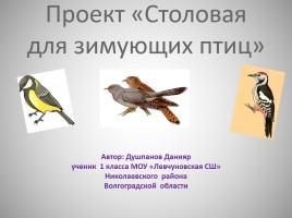 Презентация Проект «Столовая для зимующих птиц»