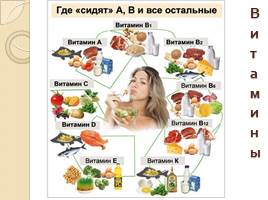 Пищеварение - Питательные вещества, слайд 21