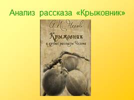 Мастерство рассказов А.П.Чехова - «Маленькая трилогия» как обличение «футлярности» жизни человека, слайд 16