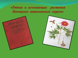 Презентация Редкие и исчезающие растения Ненецкого автономного округа