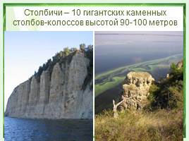 Природный парк «Щербаковский», слайд 15