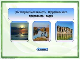 Природный парк «Щербаковский», слайд 23