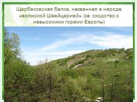 Природный парк «Щербаковский», слайд 4