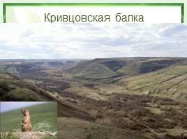Природный парк «Щербаковский», слайд 6