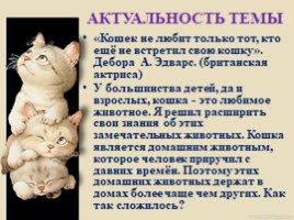 Домашние питомцы - кошки, слайд 2
