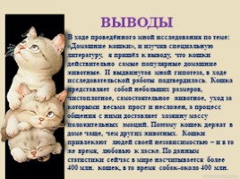 Домашние питомцы - кошки, слайд 20