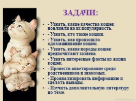 Домашние питомцы - кошки, слайд 4