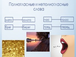 История развития русского языка. Исторический корень, слайд 9