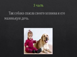 Обучающее изложение по произведению Б.Зубкова "Собака-спасатель", слайд 10