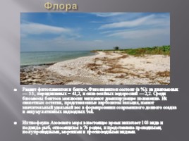 Азовское море, слайд 9