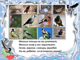 Как зимуют птицы, слайд 17