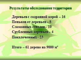 Береза-символ России, слайд 17