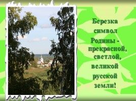 Береза-символ России, слайд 23
