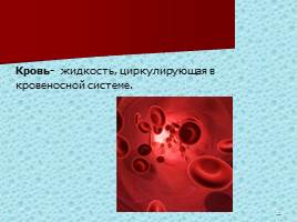 Кровеносная система - Кровь, слайд 21