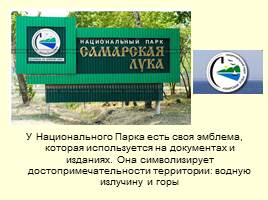 Национальный парк «Самарская лука», слайд 5