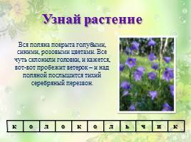 Охрана растений, слайд 29