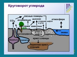 Углерод, слайд 12