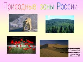 Природные зоны России, слайд 1