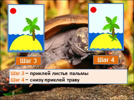 Аппликация «Черепаха на острове», слайд 6